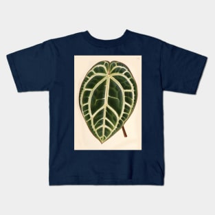 Anthurium crystallinum - L'illustration horticole - Botanical Illustration Kids T-Shirt